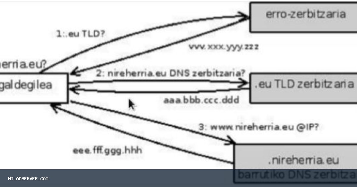 اعلام تجزیه و تحلیل DNS و بینش برای Route 53 Global Resolver و DNS Firewall | اخبار میلاد سرور